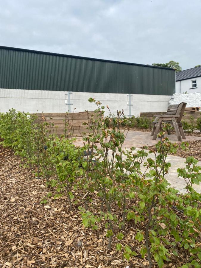 Ballymullock Barn Lofts Carncastle Exterior foto